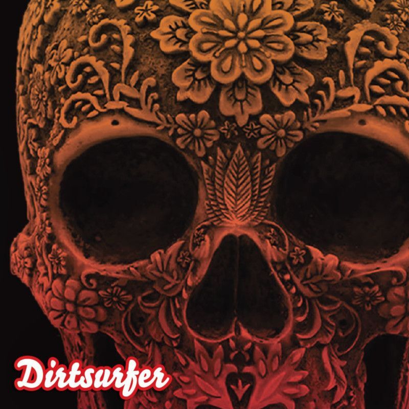 Dirtsurfer Mudguard Triweave Black for Mudguards - MTB - Image 2