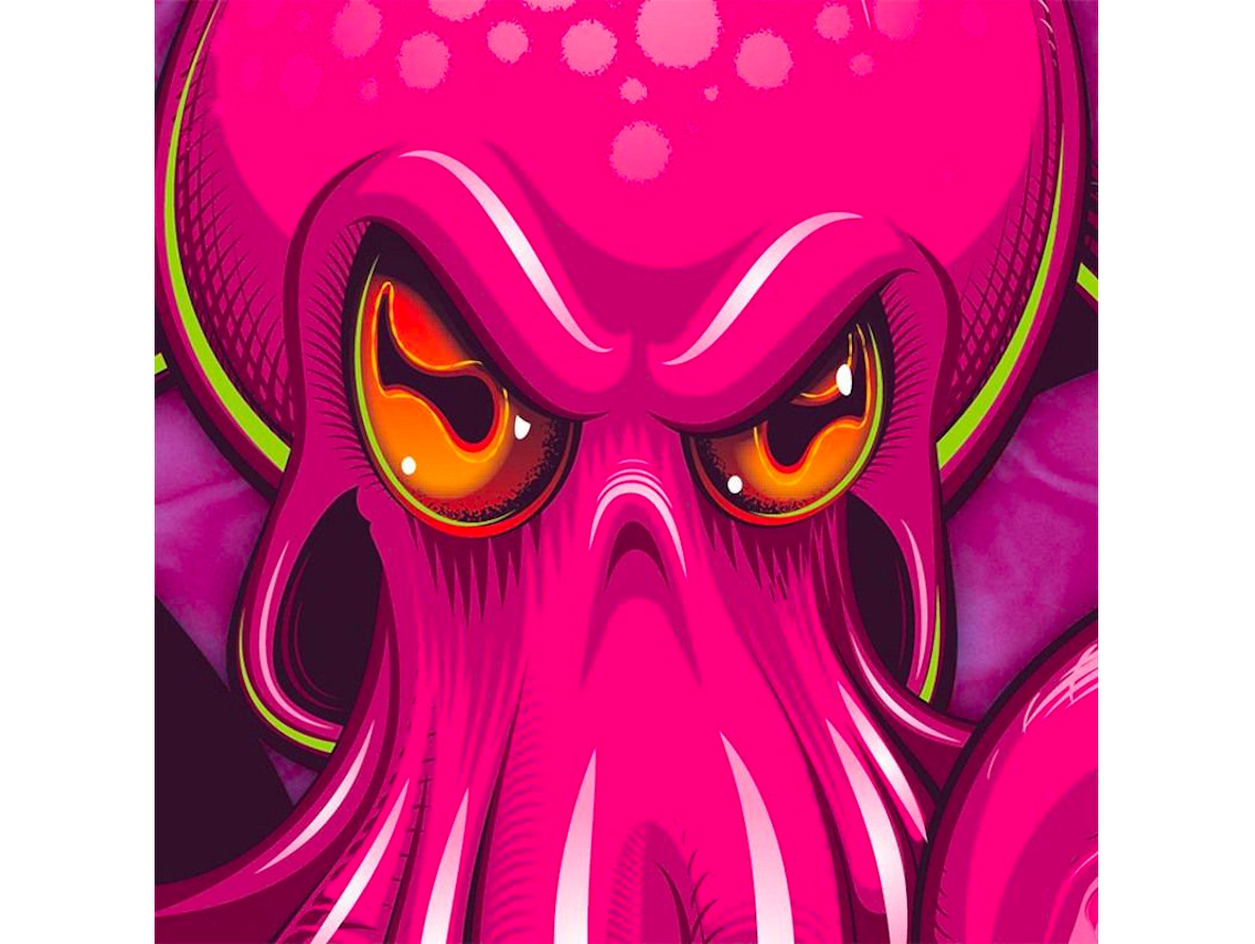 Dirtsurfer Mudguard - Octopus for Mudguards - MTB - Image 6